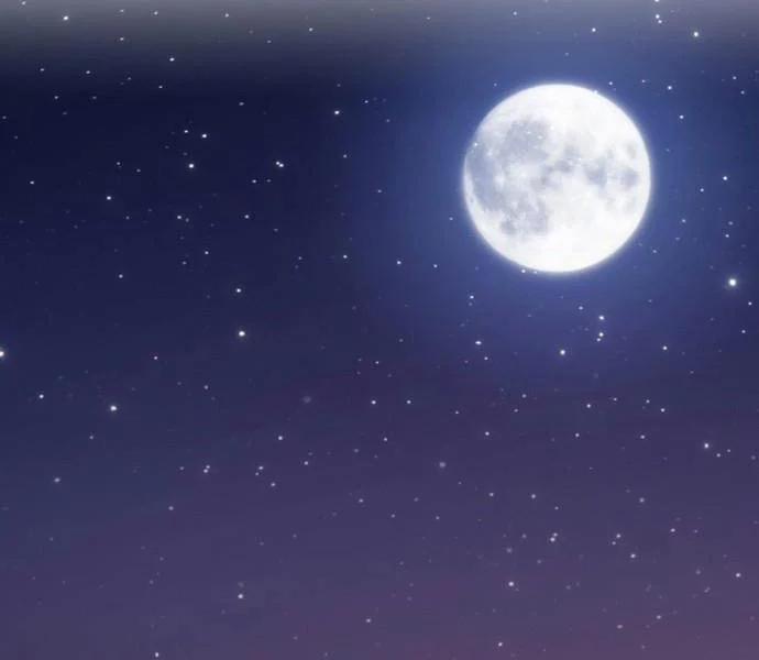 Gậy Gỗ Cấp 99+ 93 trang 337