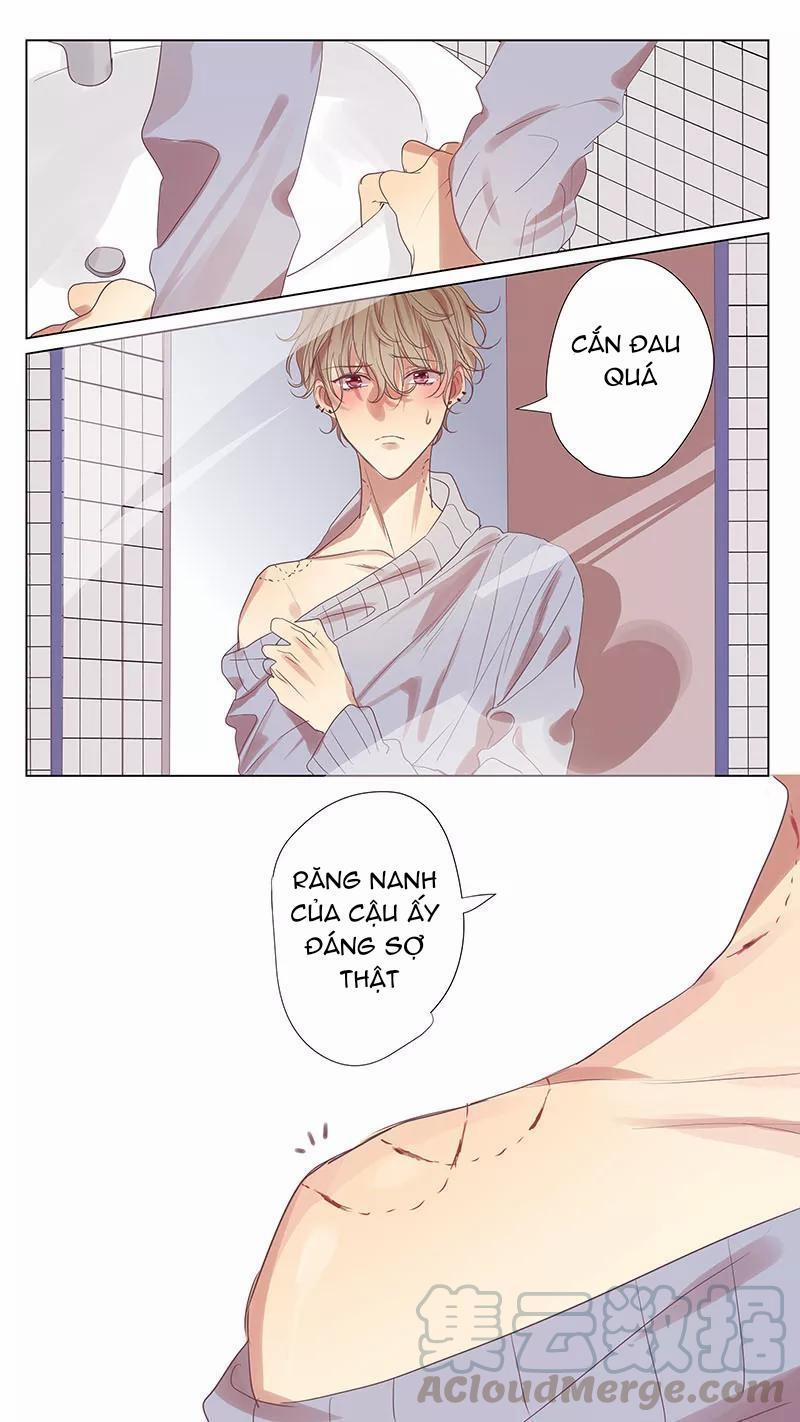 Ghét Cậu Thích Cậu 52 trang 0