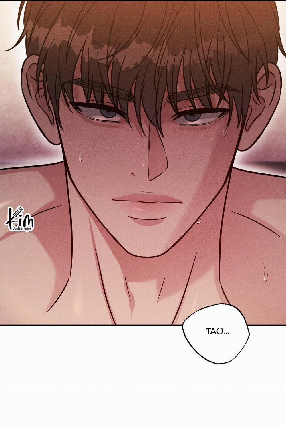 Giả Dược 28 trang 65