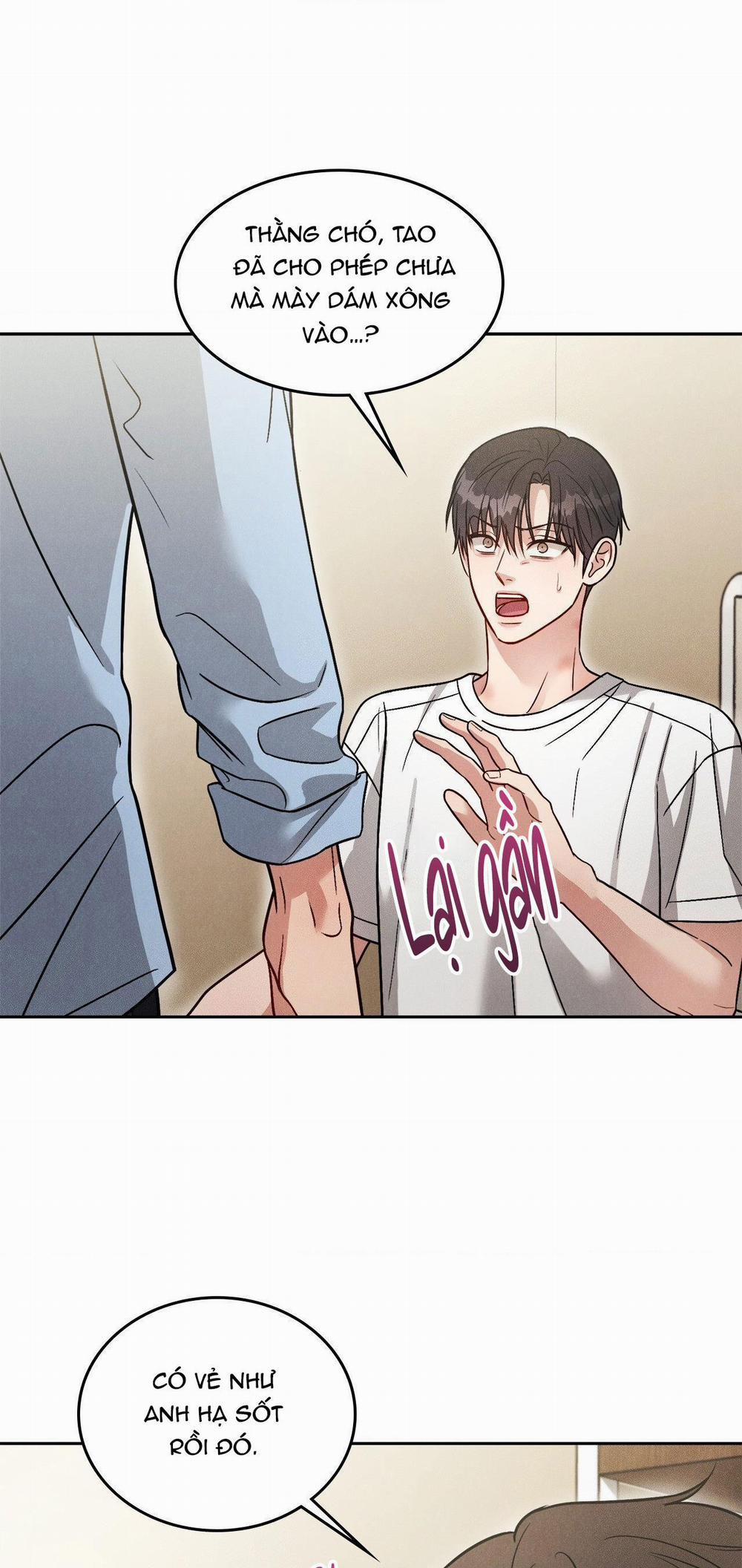 Giả Dược 30 trang 30