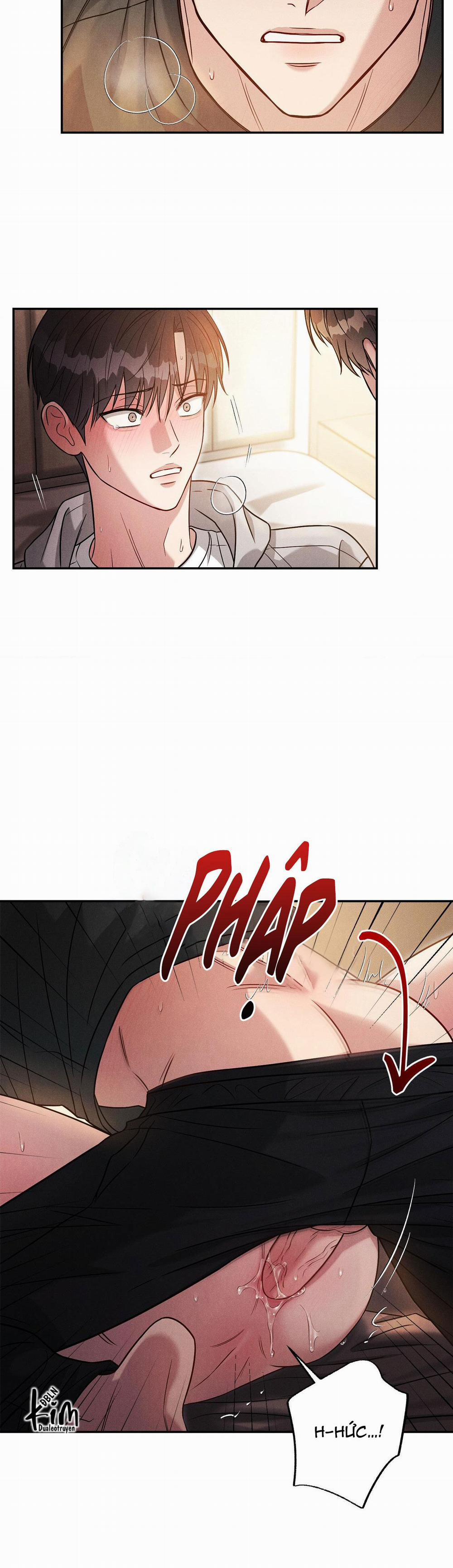 Giả Dược 35 trang 17