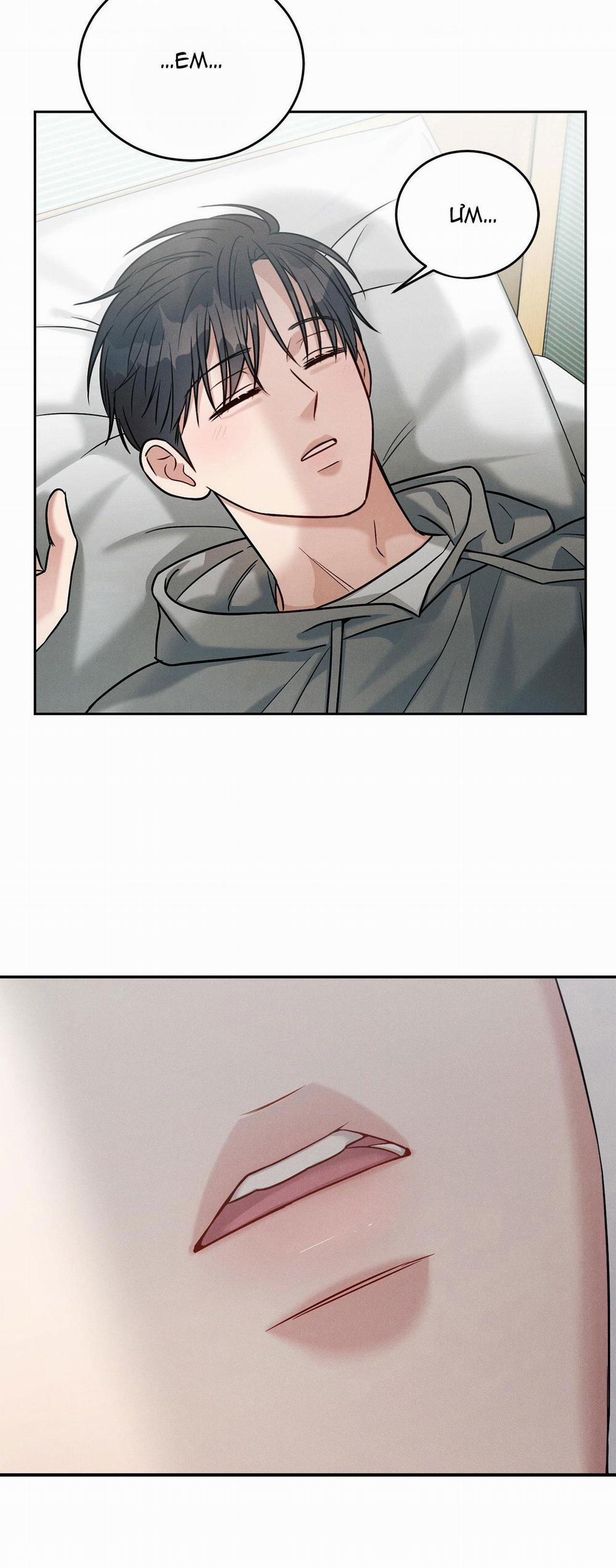 Giả Dược 40 trang 17