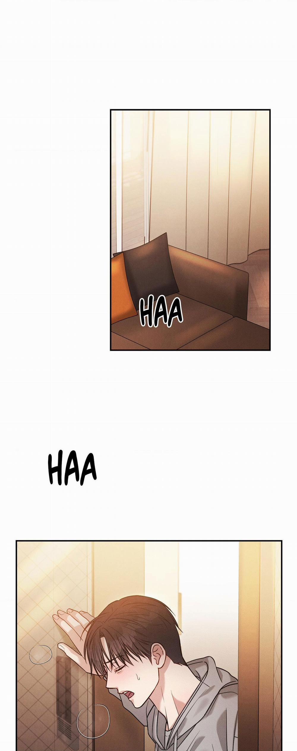 Giả Dược 40 trang 35