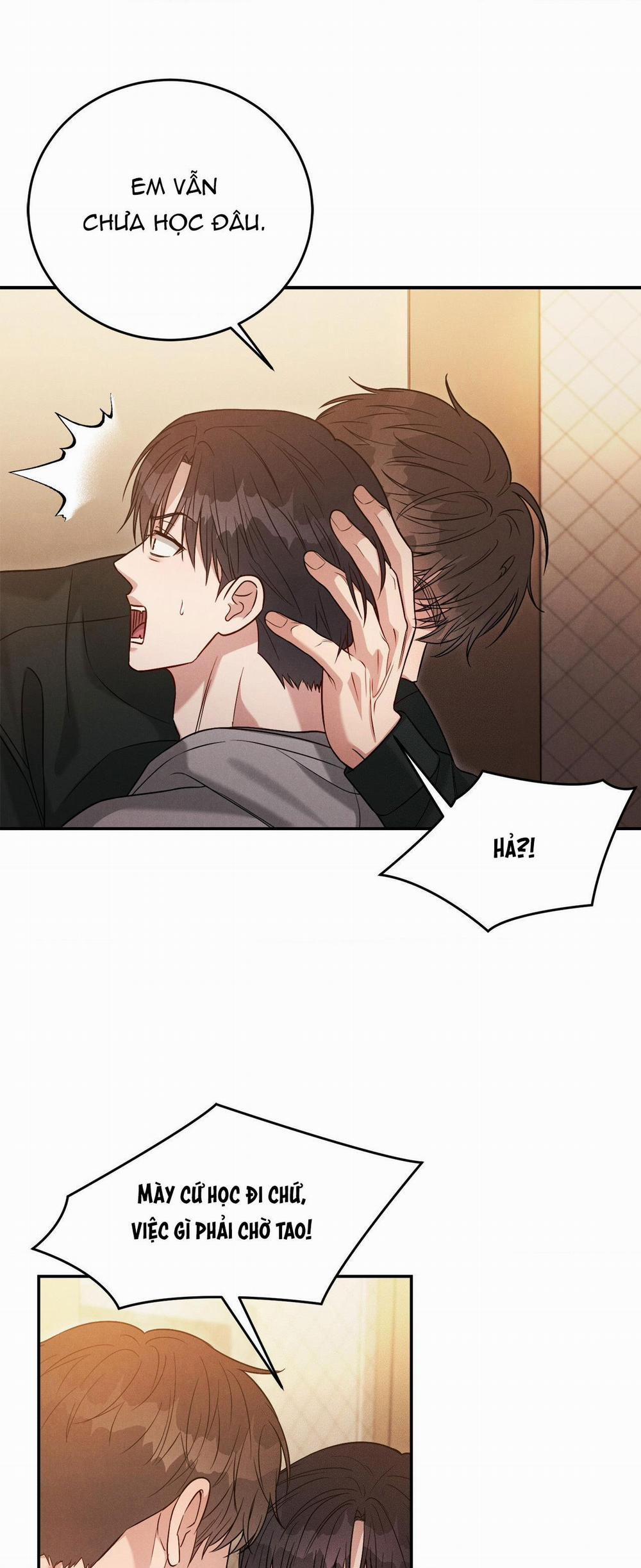 Giả Dược 40 trang 40