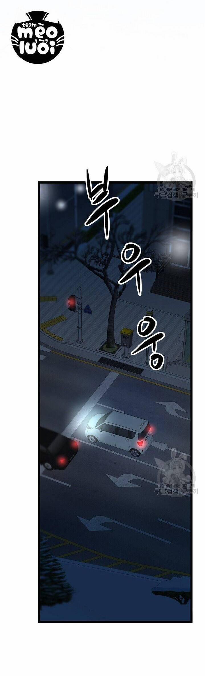 Giả Mạo Theo Phong Cách 115 trang 11