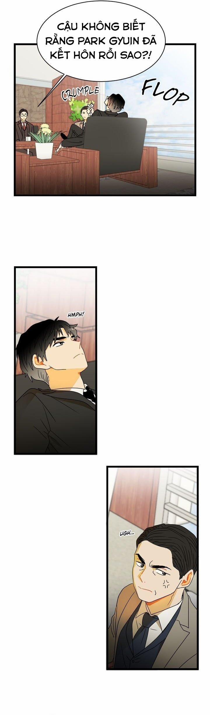 Giả Mạo Theo Phong Cách 4 trang 10