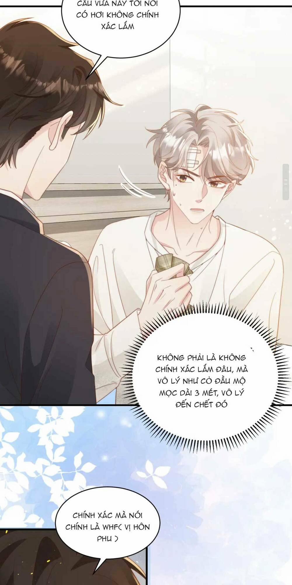 Giả Vờ Mất Trí Nhớ , Tình Địch Nhân Cơ Hội Nói Tôi Là Bạn Trai Anh Ta 5 trang 23