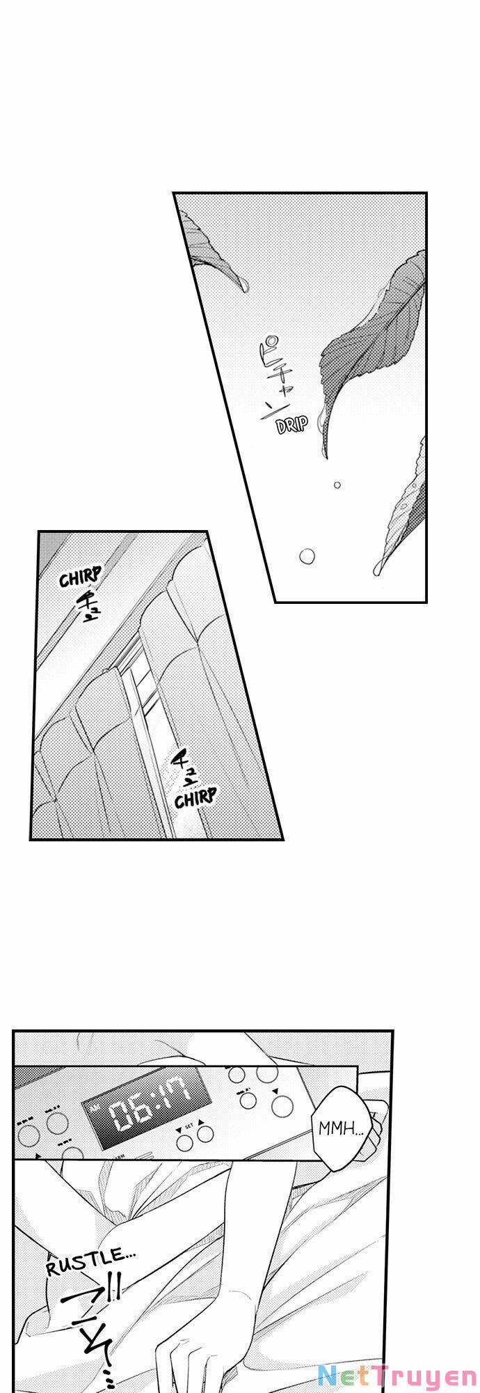 Giả Vờ Ngủ Cũng Không Ngăn Được Anh Ấy 86.2 trang 6