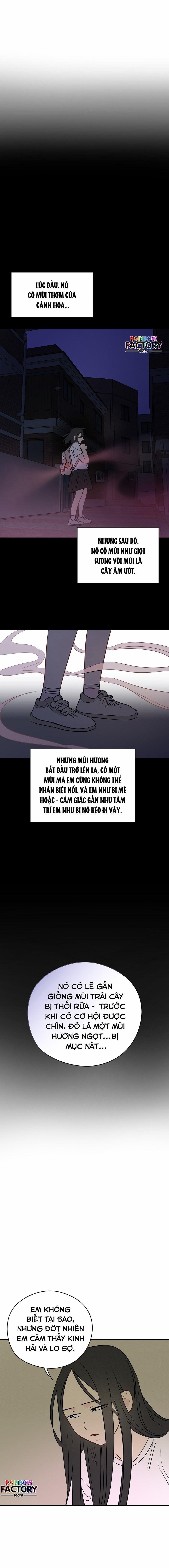 Giấc Mơ Kì Lạ 23 trang 0