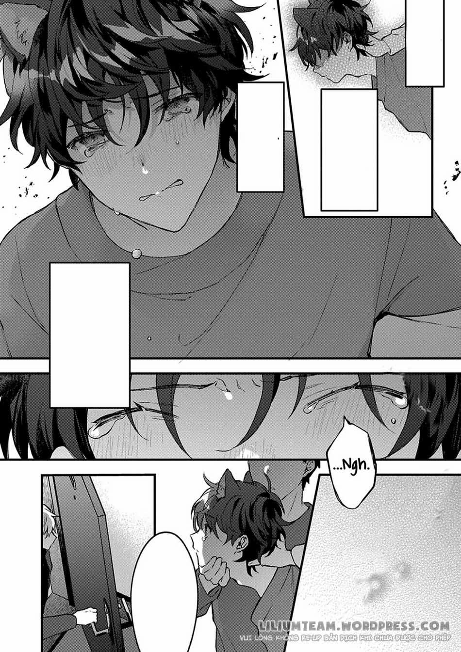 Giấc Mơ Về Bé Mèo Mun Của Chàng Hoàng Tử Sói? 1 trang 29