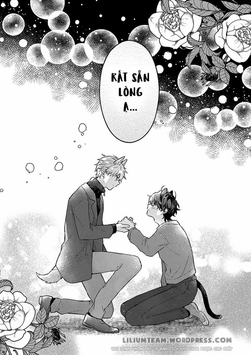 Giấc Mơ Về Bé Mèo Mun Của Chàng Hoàng Tử Sói? 1 trang 38