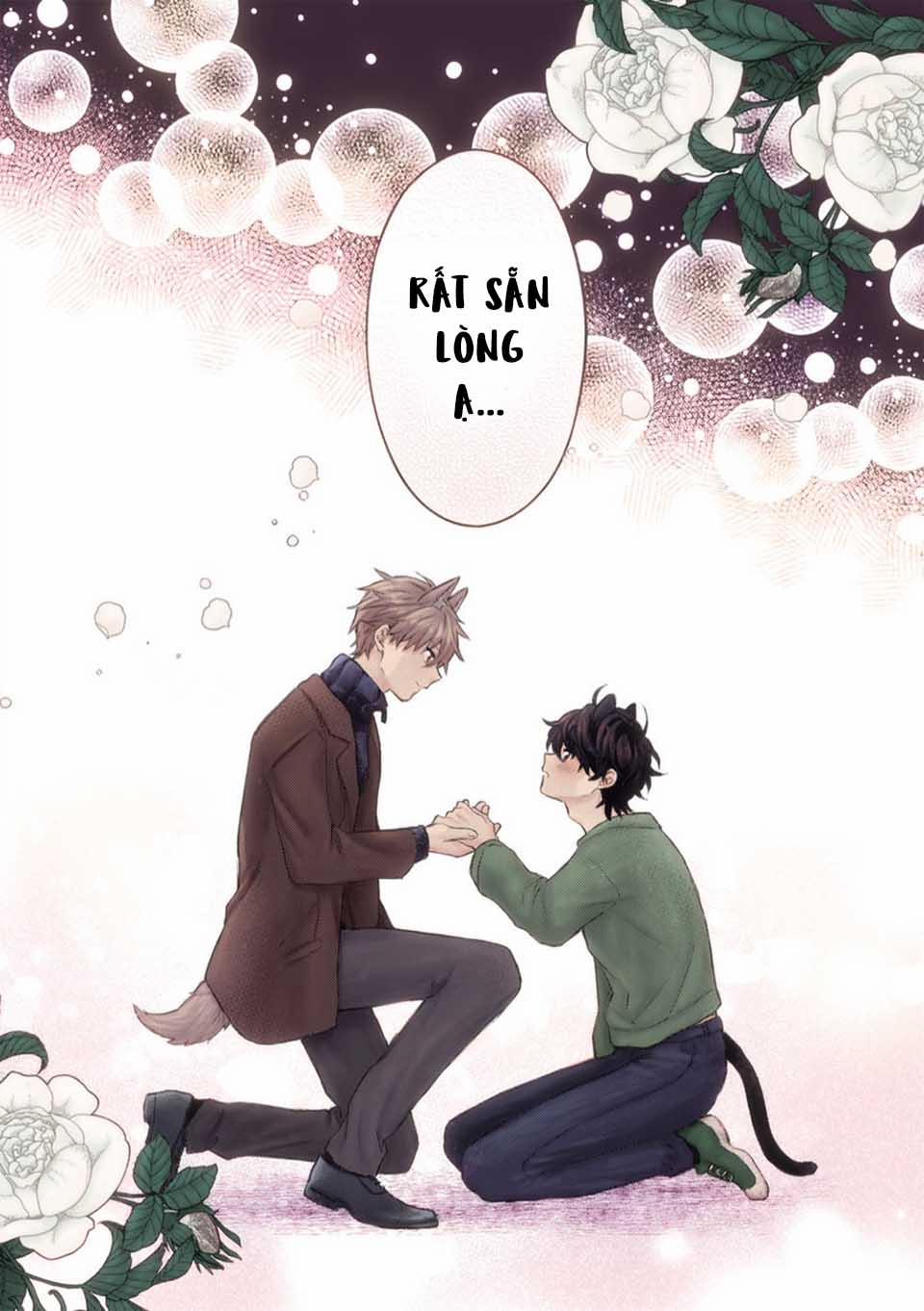 Giấc Mơ Về Bé Mèo Mun Của Chàng Hoàng Tử Sói? 1 trang 39