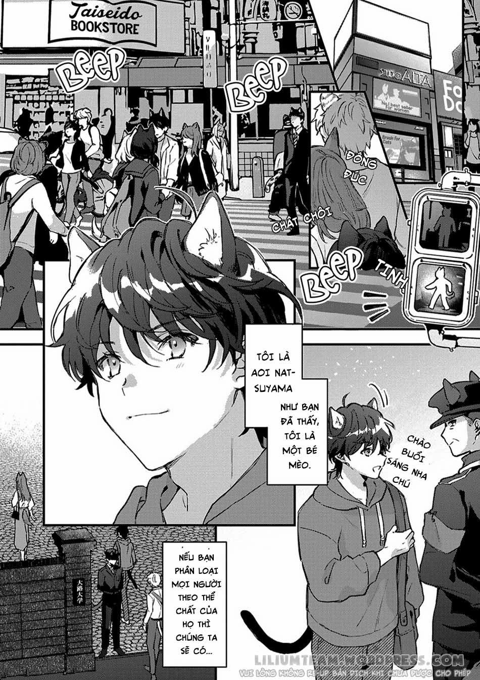 Giấc Mơ Về Bé Mèo Mun Của Chàng Hoàng Tử Sói? 1 trang 8