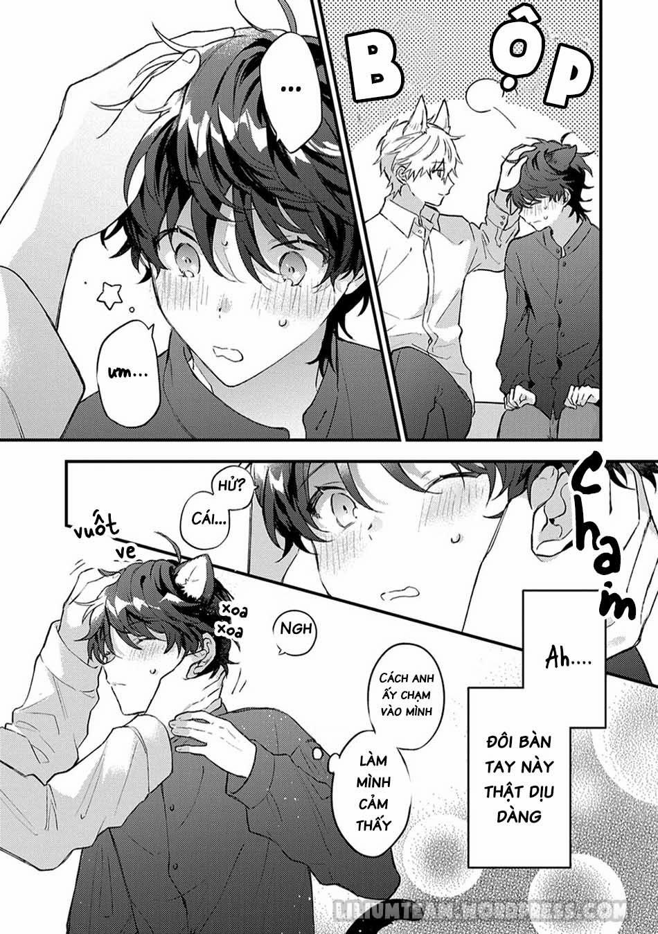 Giấc Mơ Về Bé Mèo Mun Của Chàng Hoàng Tử Sói? 2 trang 4