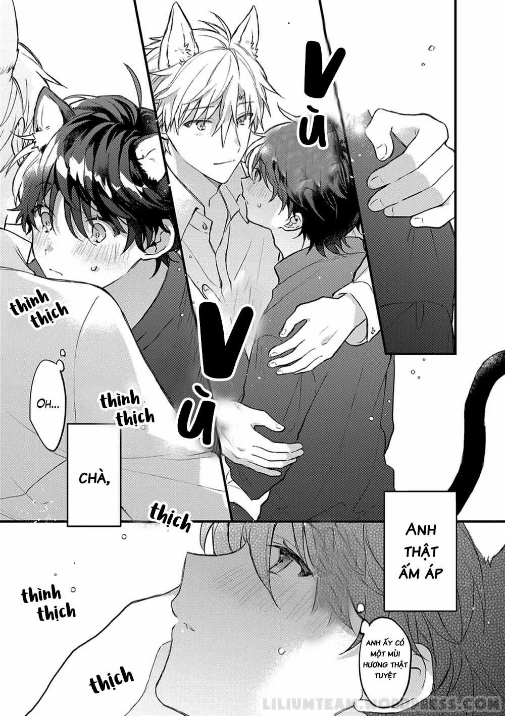 Giấc Mơ Về Bé Mèo Mun Của Chàng Hoàng Tử Sói? 2 trang 5