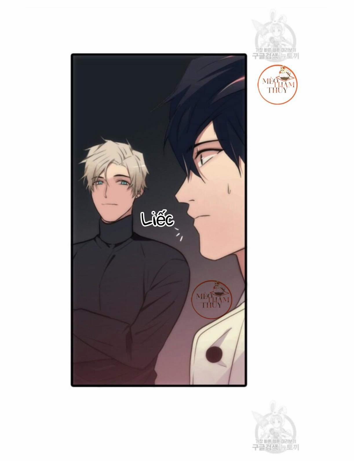 Giai Điệu Của Ngôn Ngữ 13 trang 21