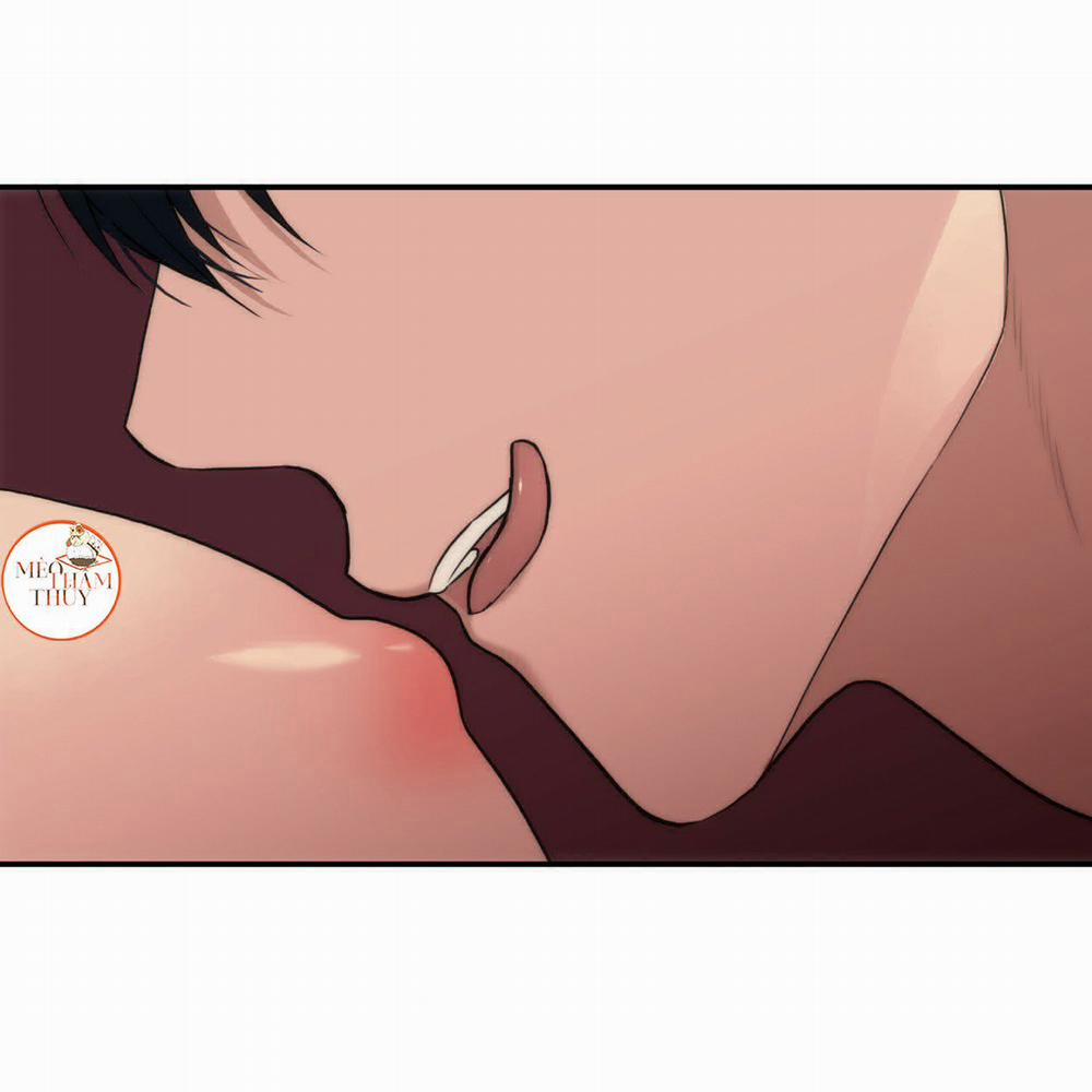 Giai Điệu Của Ngôn Ngữ 44 trang 80