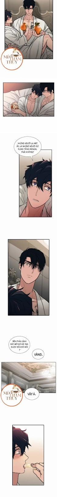 Giai Điệu Của Ngôn Ngữ 46 trang 8