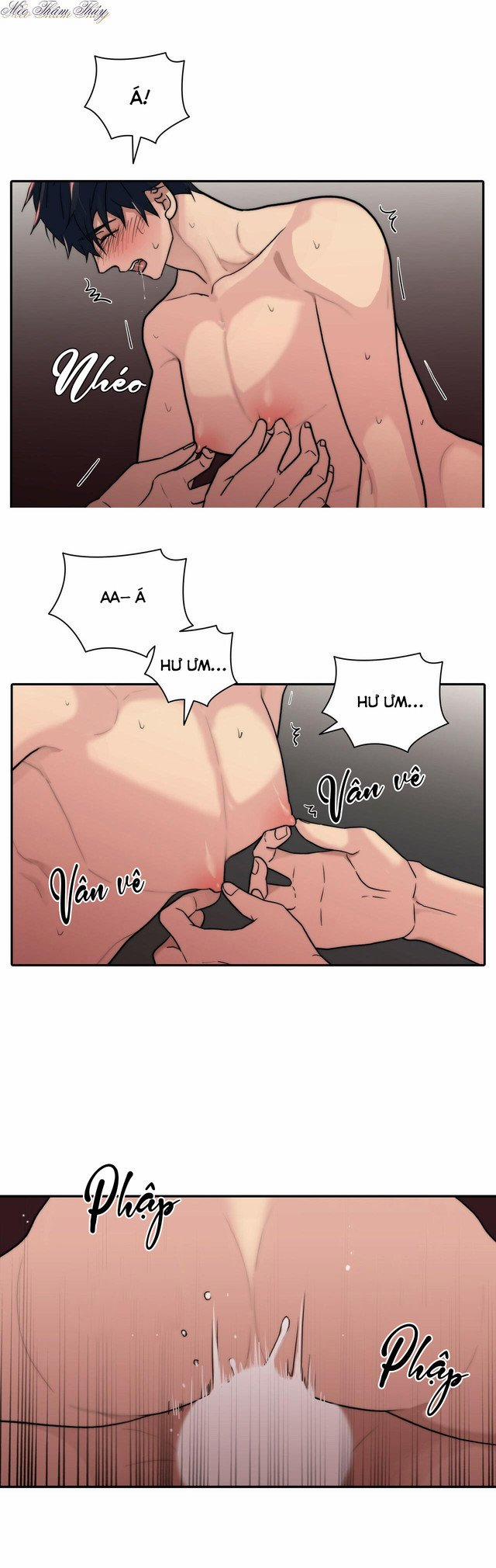 Giai Điệu Của Ngôn Ngữ 59 trang 5