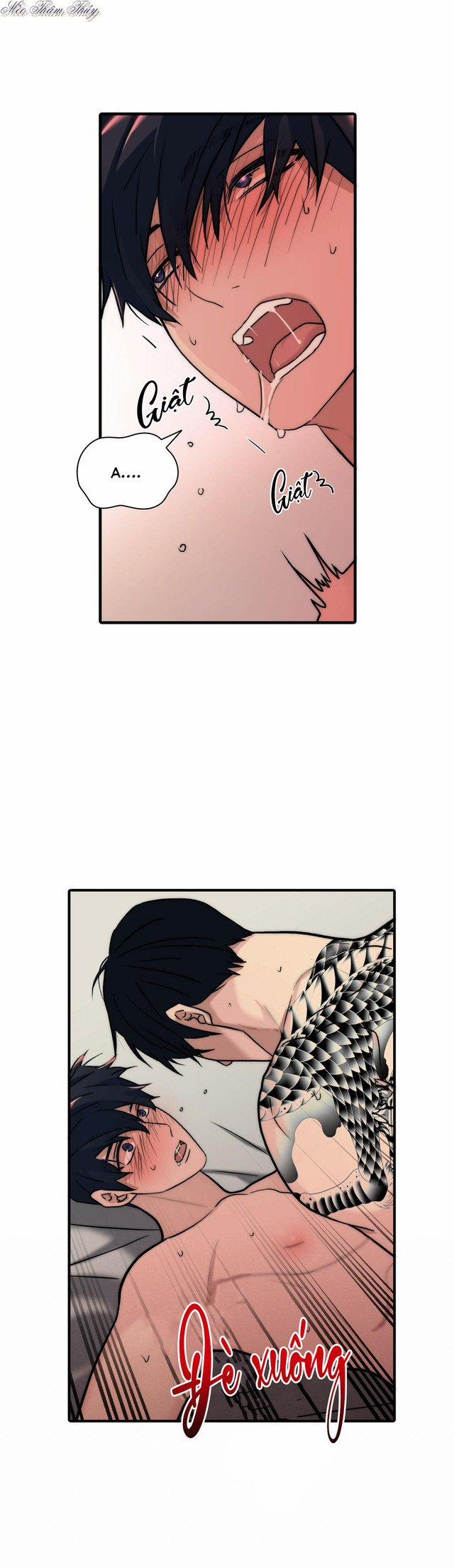 Giai Điệu Của Ngôn Ngữ 59 trang 6