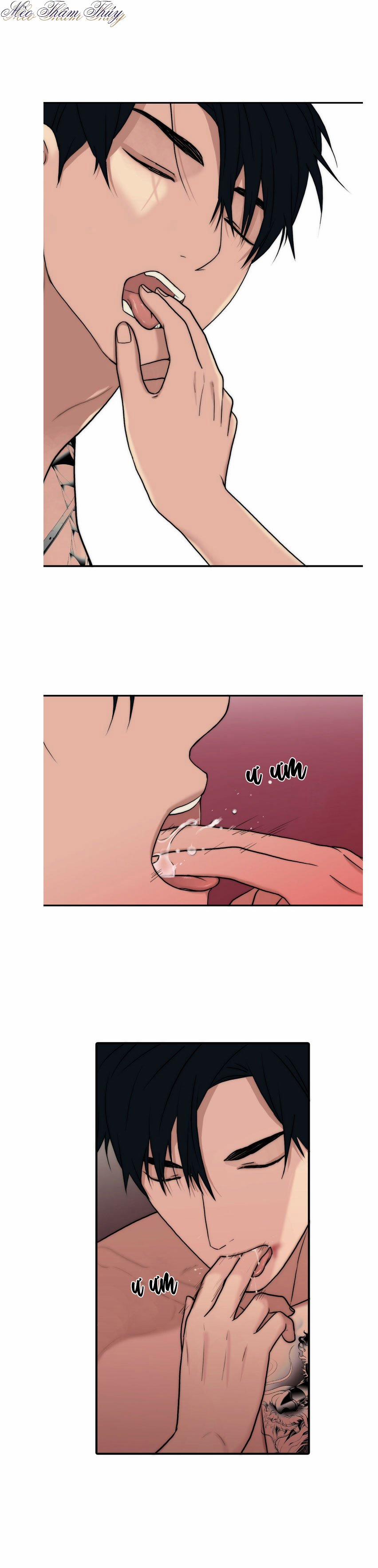 Giai Điệu Của Ngôn Ngữ 65 trang 16