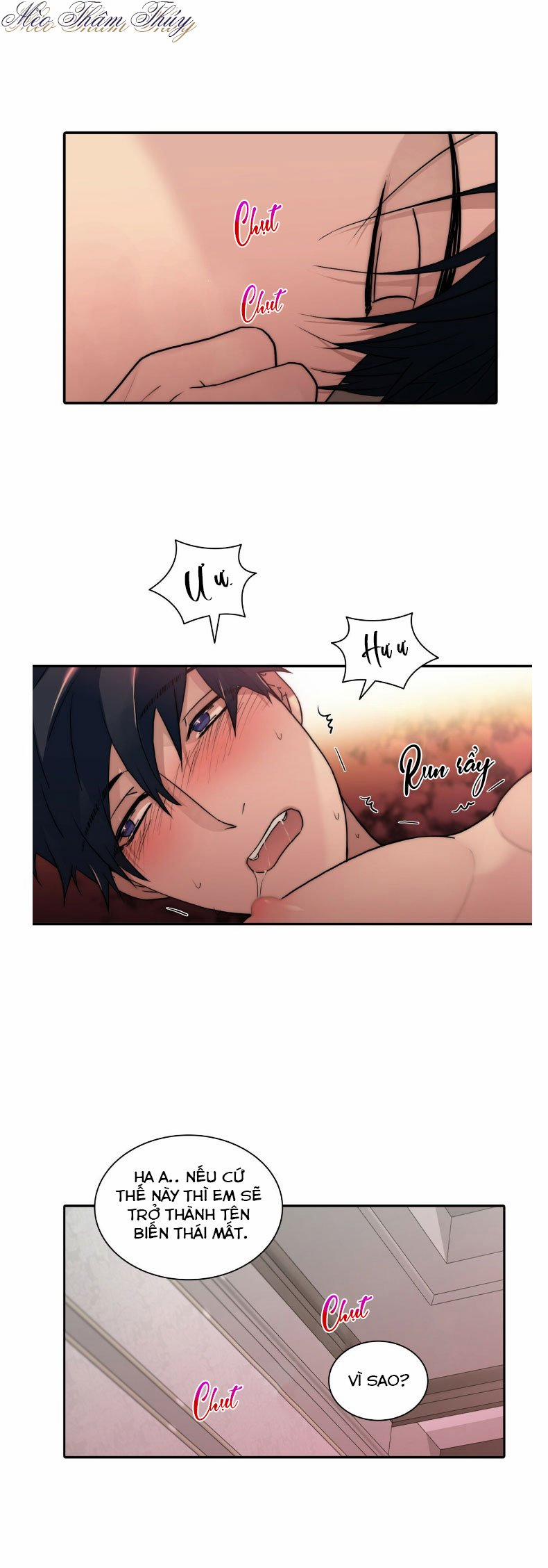 Giai Điệu Của Ngôn Ngữ 65 trang 6