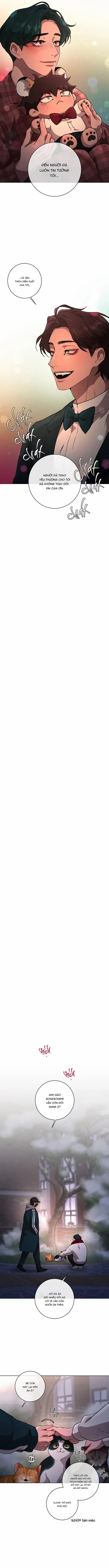 Giải Phóng Bản Chất Thật Của Ta 9 trang 14