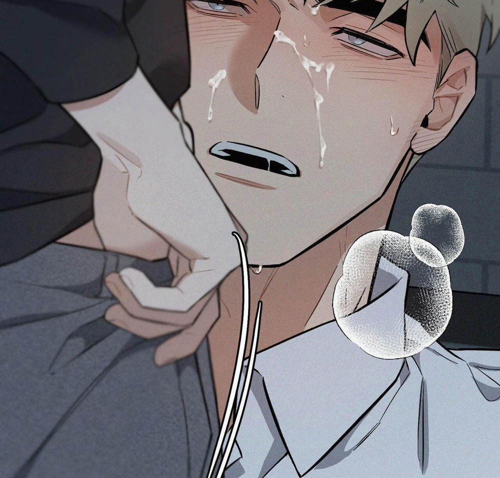 GIÁNG SINH – MERRY ON THE ROCK 4 trang 38