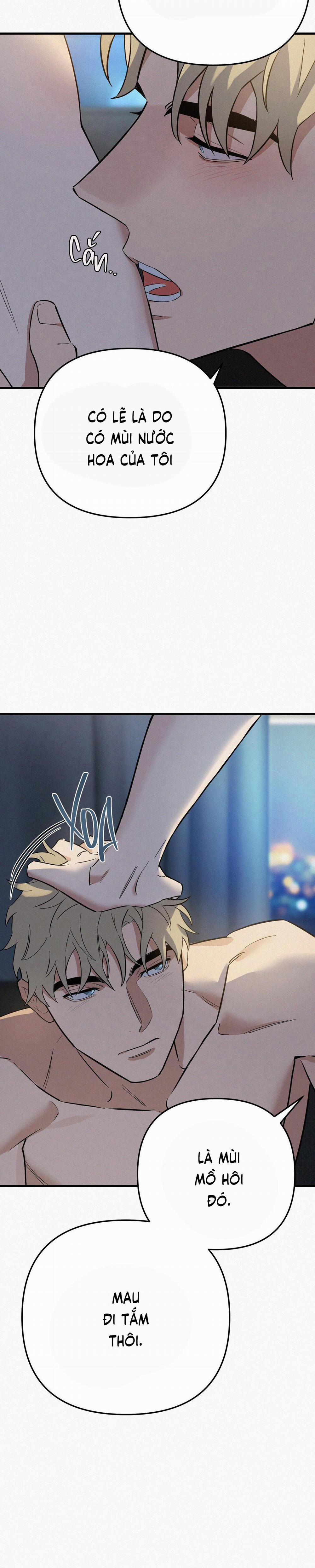 GIÁNG SINH – MERRY ON THE ROCK 5 Valentine trang 3