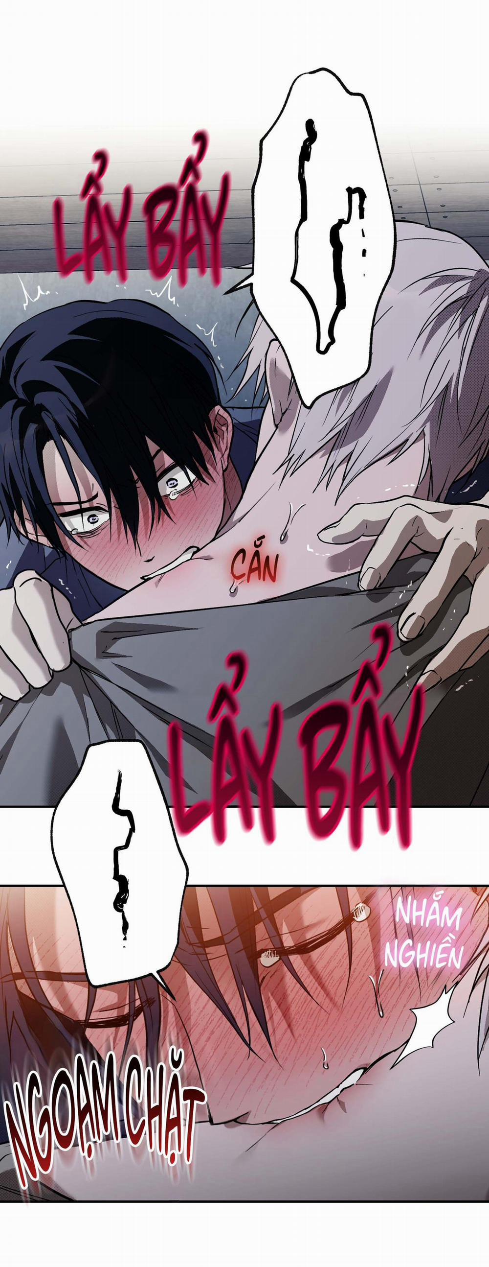 GIÀNH QUYỀN KIỂM SOÁT 16 trang 13