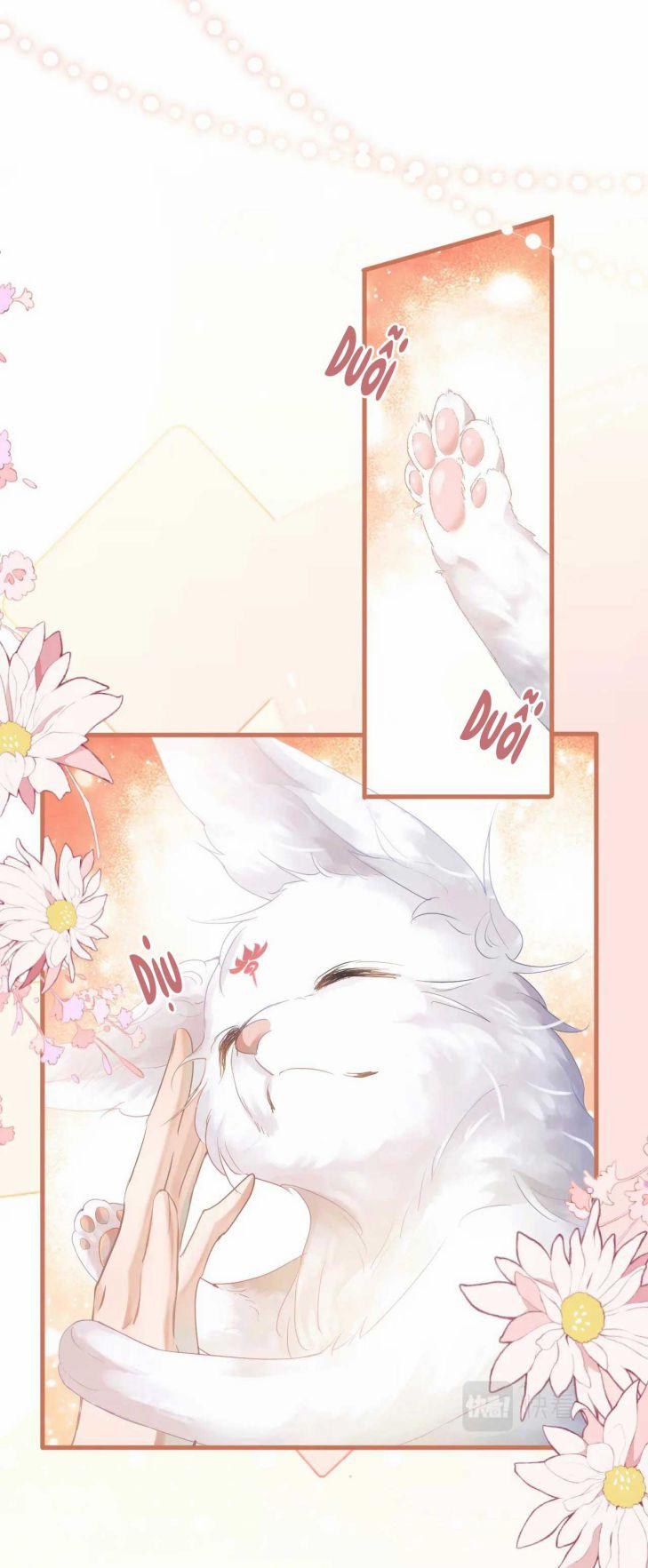 Giáo Bá Cửu Vĩ Hồ Theo Dõi Ta Lúc Sau 1 trang 12