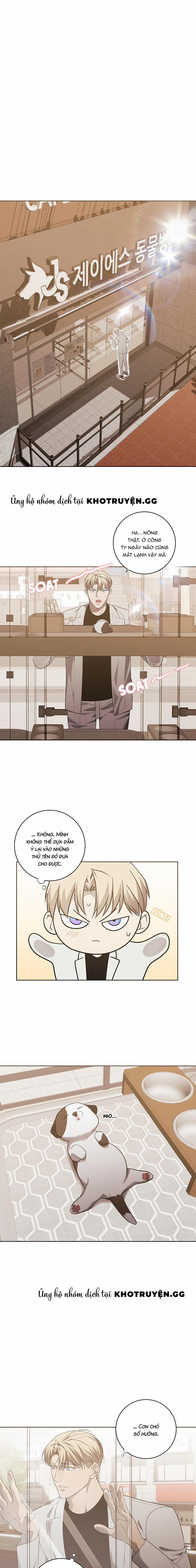 Giao Kèo Mafia 14 trang 4