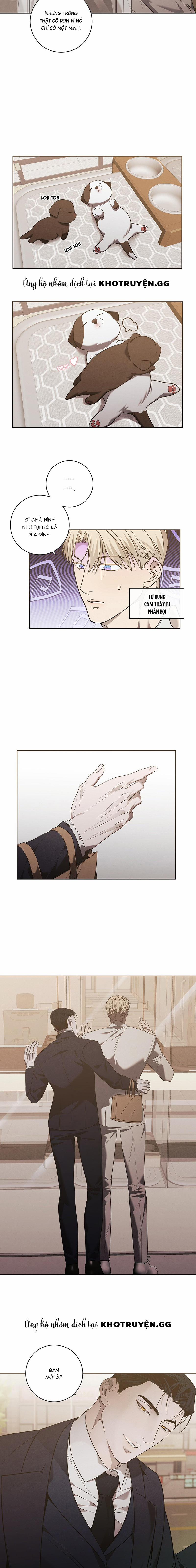 Giao Kèo Mafia 14 trang 5