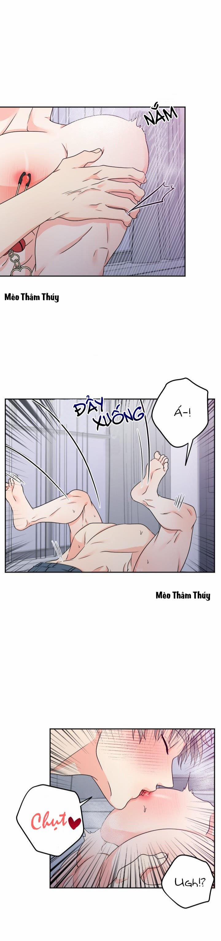 Giao Kiện Hàng Thành Công 11 trang 9