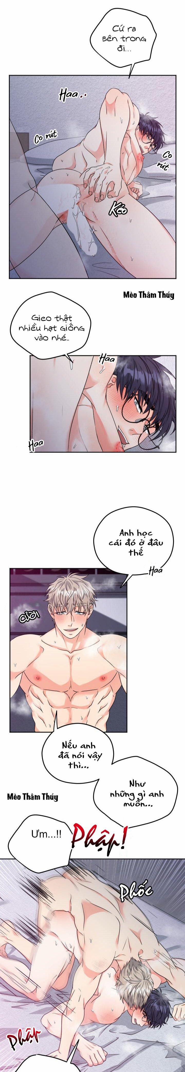 Giao Kiện Hàng Thành Công 12 trang 15