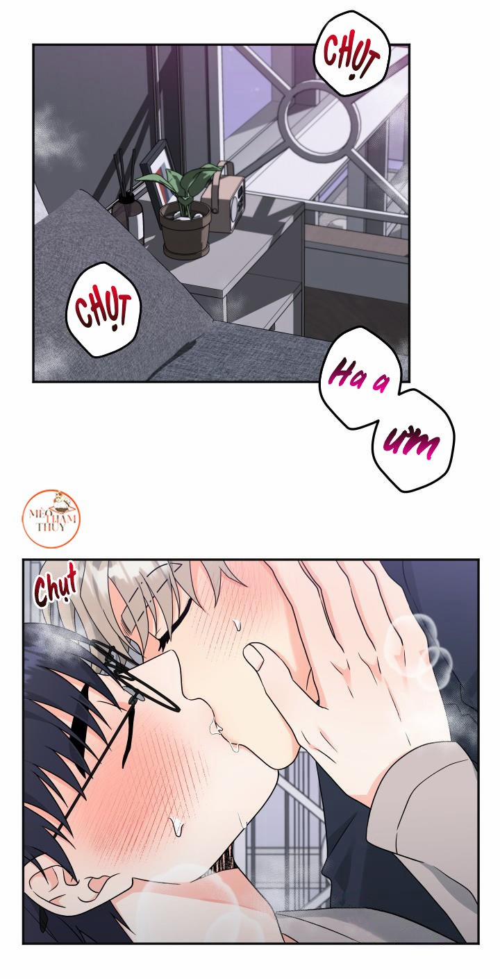 Giao Kiện Hàng Thành Công 16 trang 20