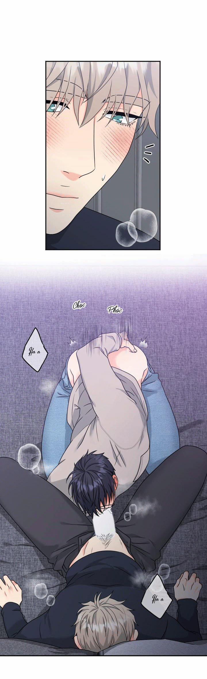 Giao Kiện Hàng Thành Công 17 trang 4