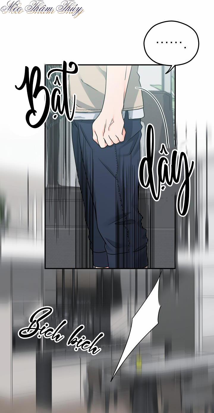 Giao Kiện Hàng Thành Công 9 trang 12