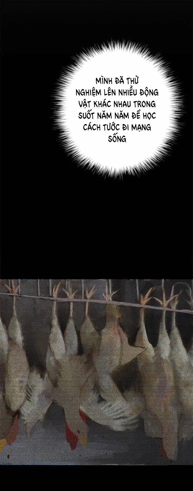 Giết Chết Niềm An Ủi Duy Nhất Của Ta 17.2 trang 17