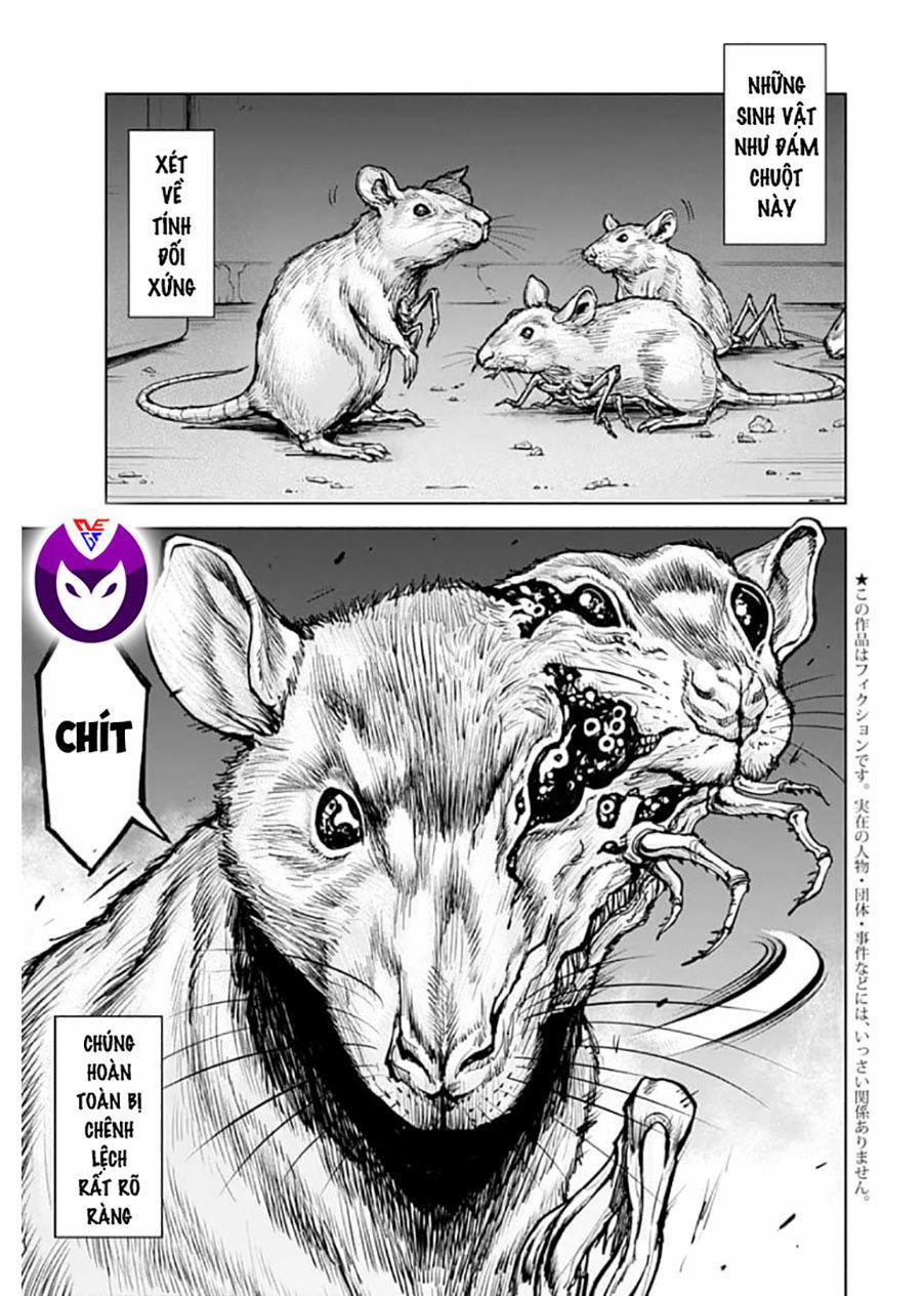 Gigantis 1.1 trang 3