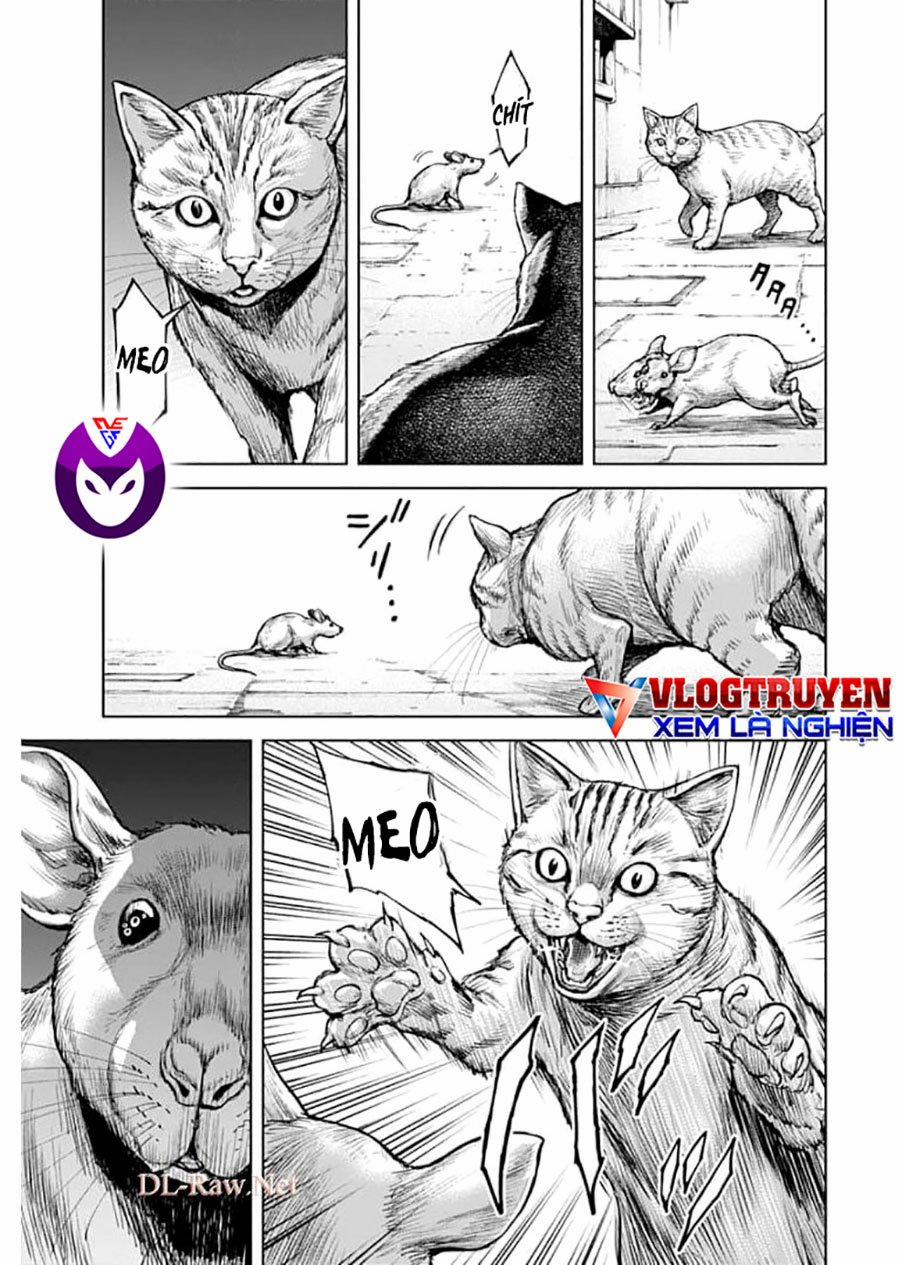 Gigantis 1.1 trang 5