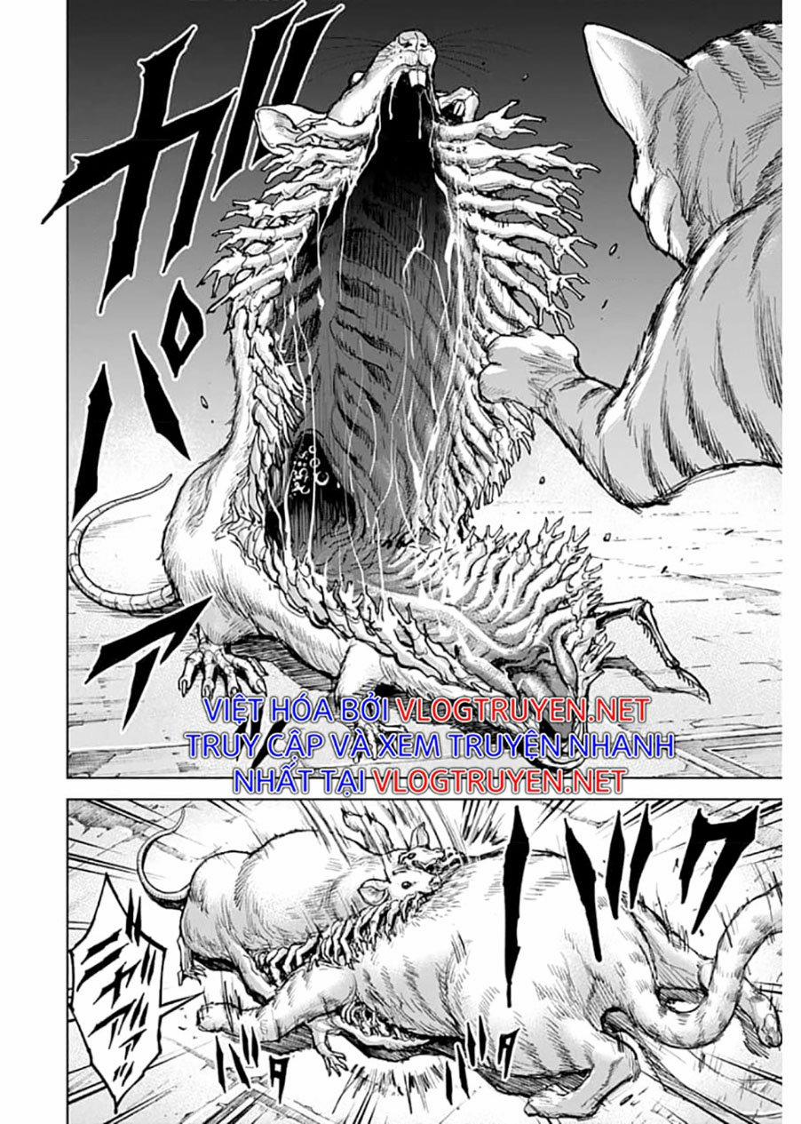 Gigantis 1.1 trang 6