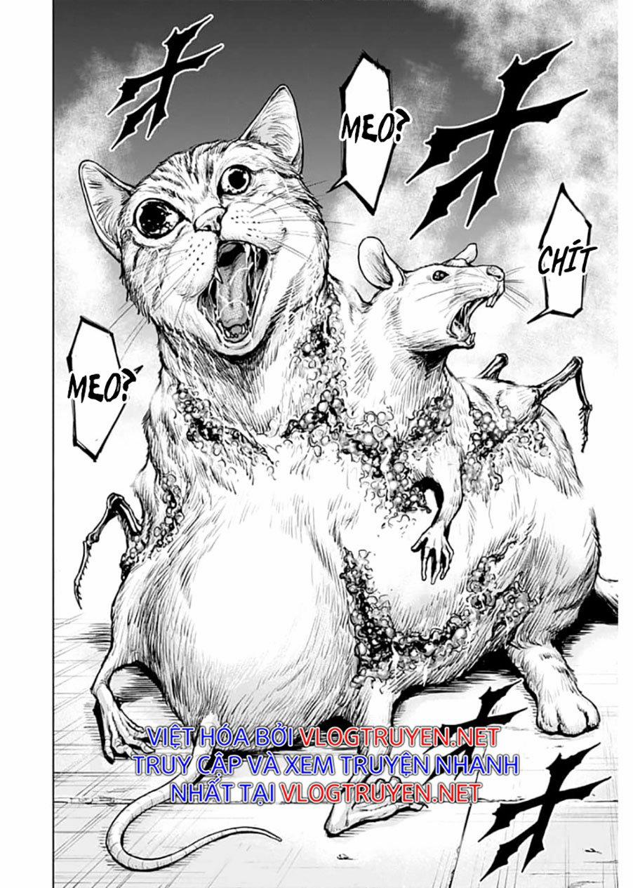 Gigantis 1.1 trang 8