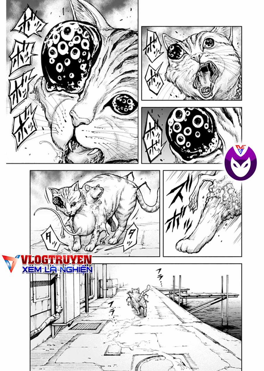 Gigantis 1.1 trang 9