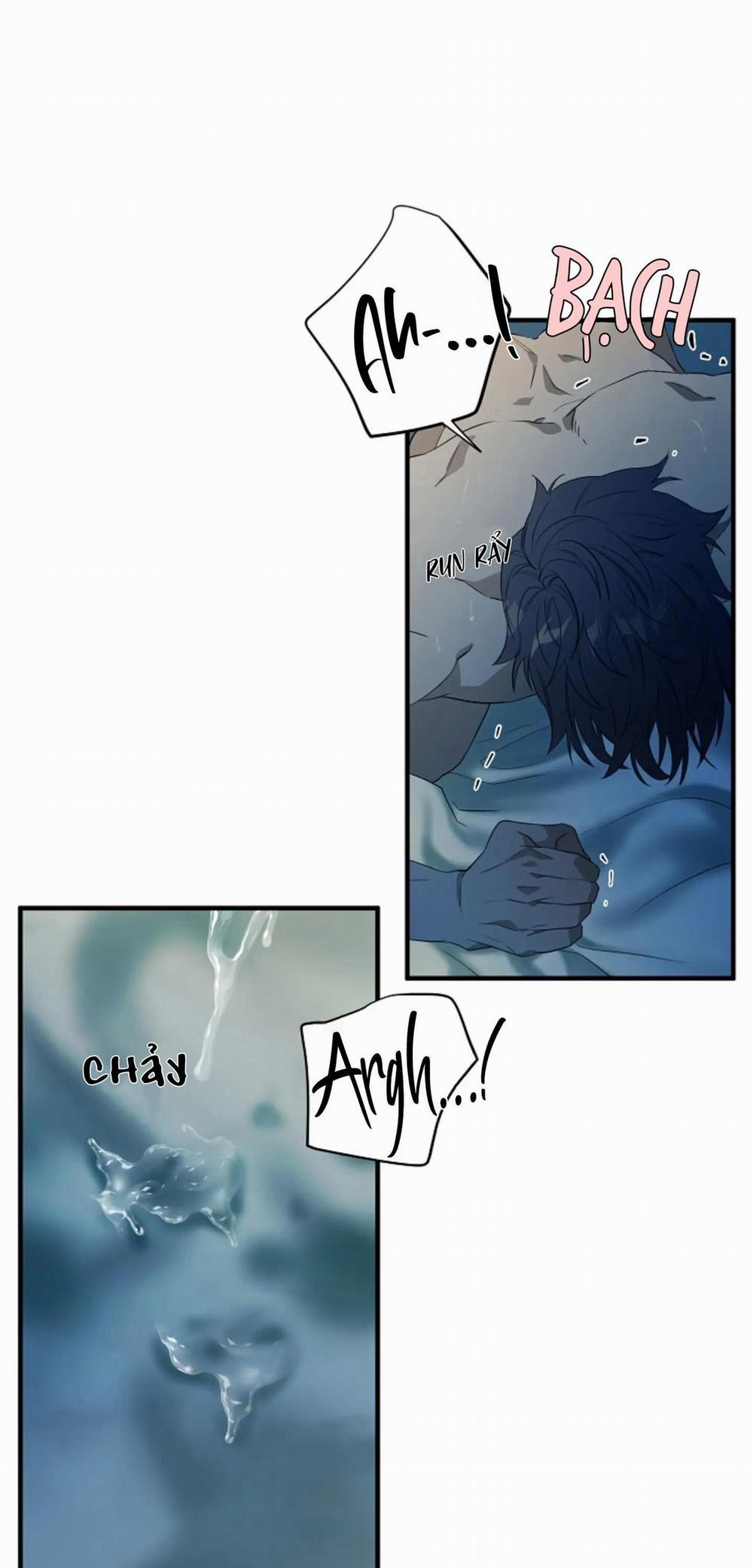 Giữa Yêu, Ghét và Hận Thù [HOÀN] 1 trang 5