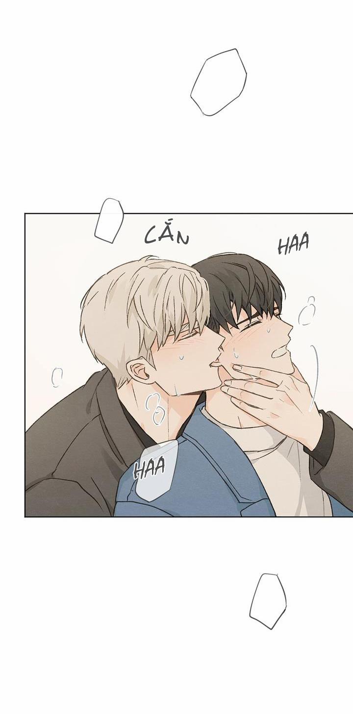 Giữa Yêu Và Ghét 50 trang 17