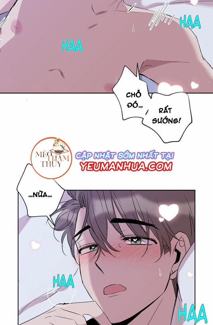 Giúp Em Với, Chú Ơi! 5 trang 39