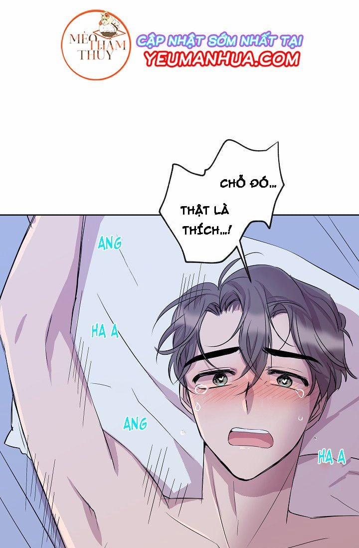 Giúp Em Với, Chú Ơi! 5 trang 48