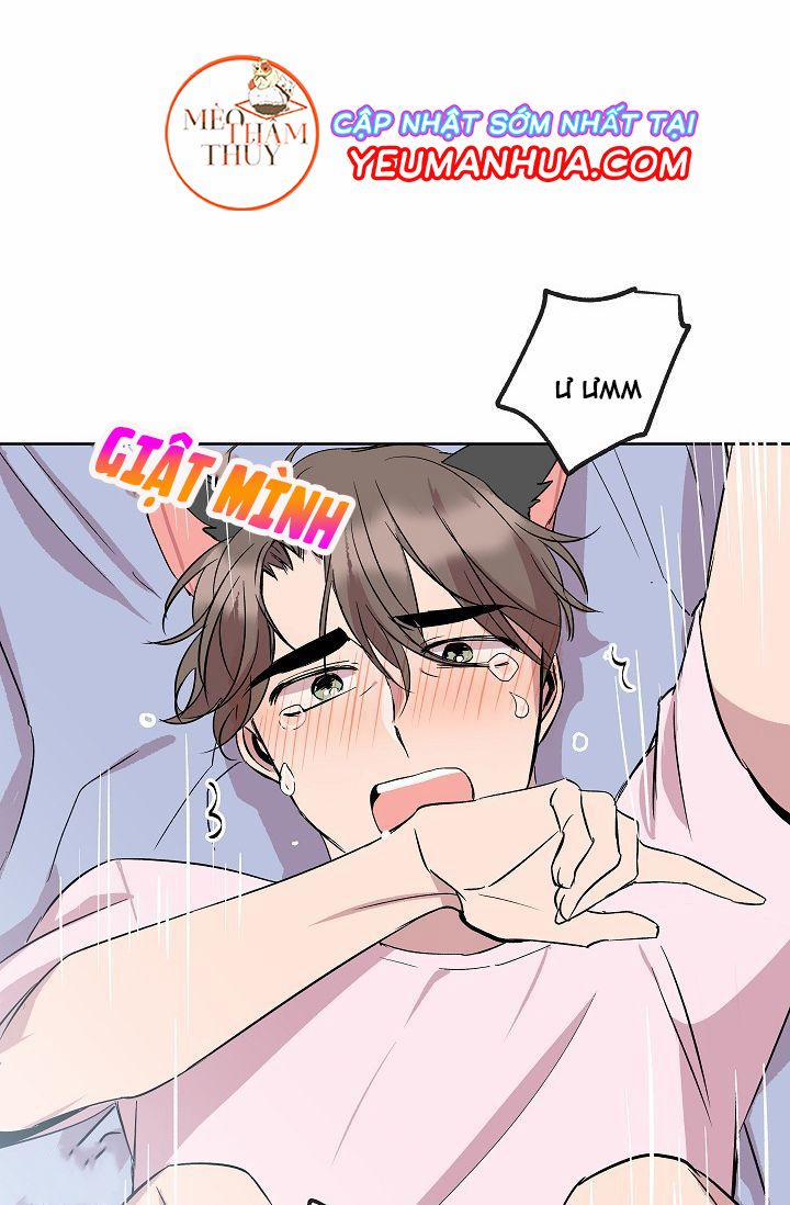 Giúp Em Với, Chú Ơi! 9 trang 31