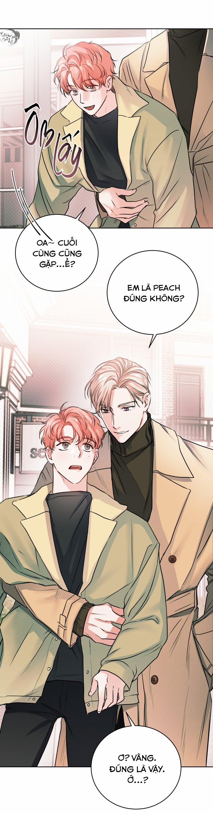 Gỡ Rối Tình Yêu 1 trang 27